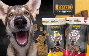 Immagine del brand BELCANDO SNACKS