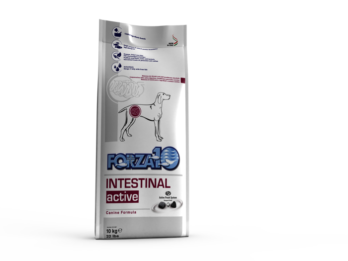 FORZA 10 INTESTINAL ACTIVE Cane Kg 10