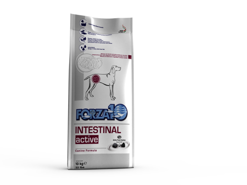 FORZA 10 INTESTINAL ACTIVE Cane Kg 10