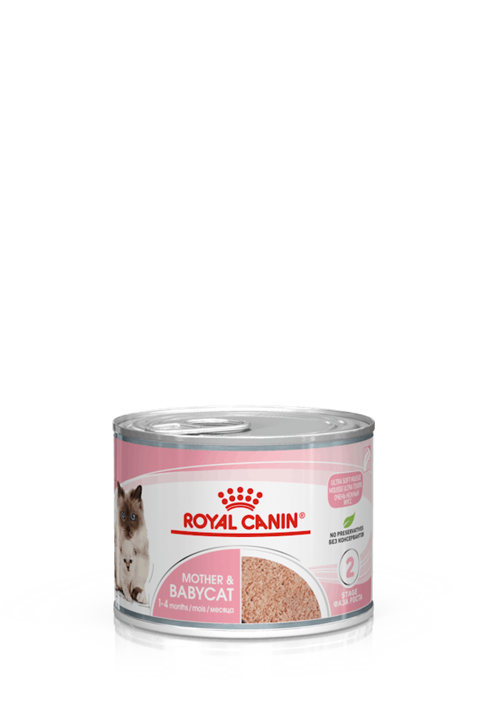 FHN WET BABYCAT INSTINCTIVE gr 195