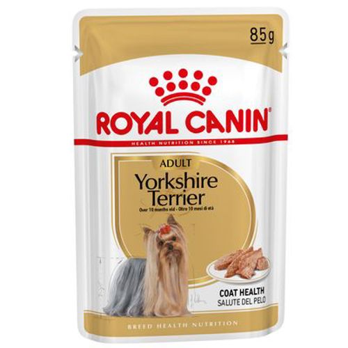BHN WET YORKSHIRE Gr 85 