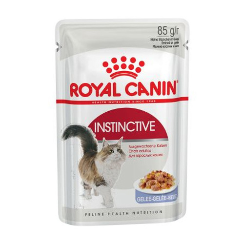 FHN WET INSTINCTIVE in JELLY gr 85
