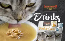 Immagine del brand LEONARDO DRINK