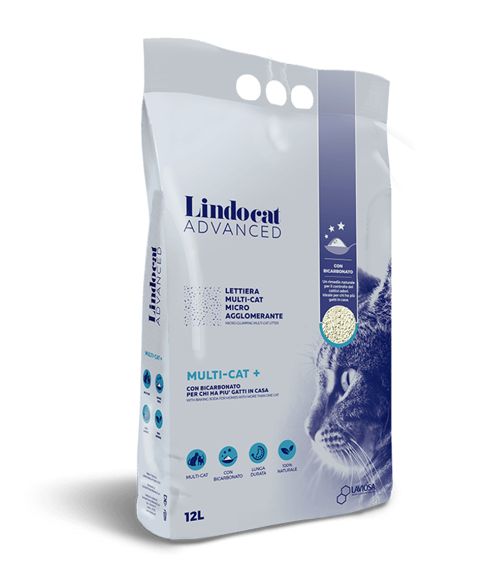 LETTIERA LINDOCAT ADVANCE MULTICAT Lt 12