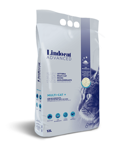 LETTIERA LINDOCAT ADVANCE MULTICAT Lt 12