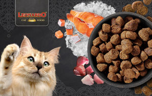 Immagine del brand LEONARDO