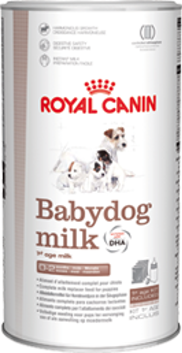 SHN BABYDOG MILK  Gr 400