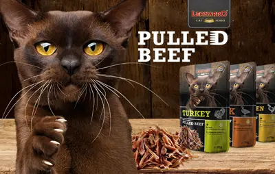 LEONARDO PULLED BEEF buste