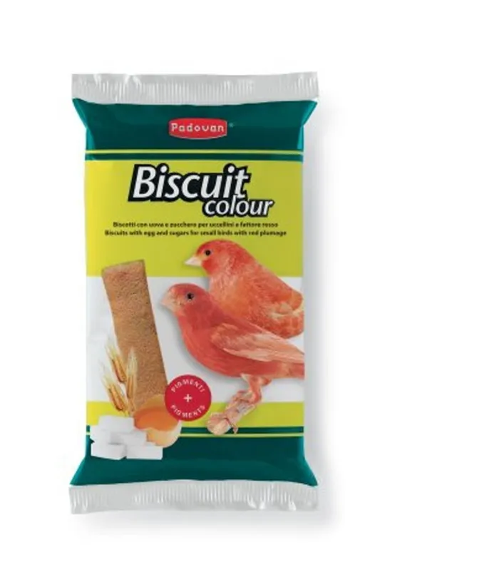 BISCUIT COLOUR Gr30
