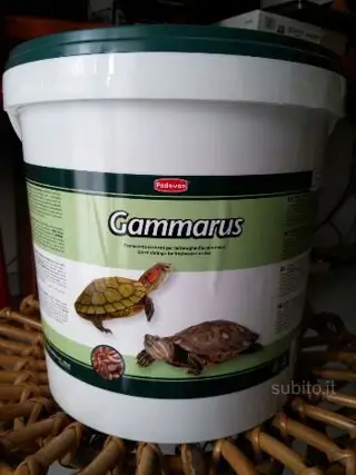 GAMMARUS lt 10 / Kg 1,1 secchiello