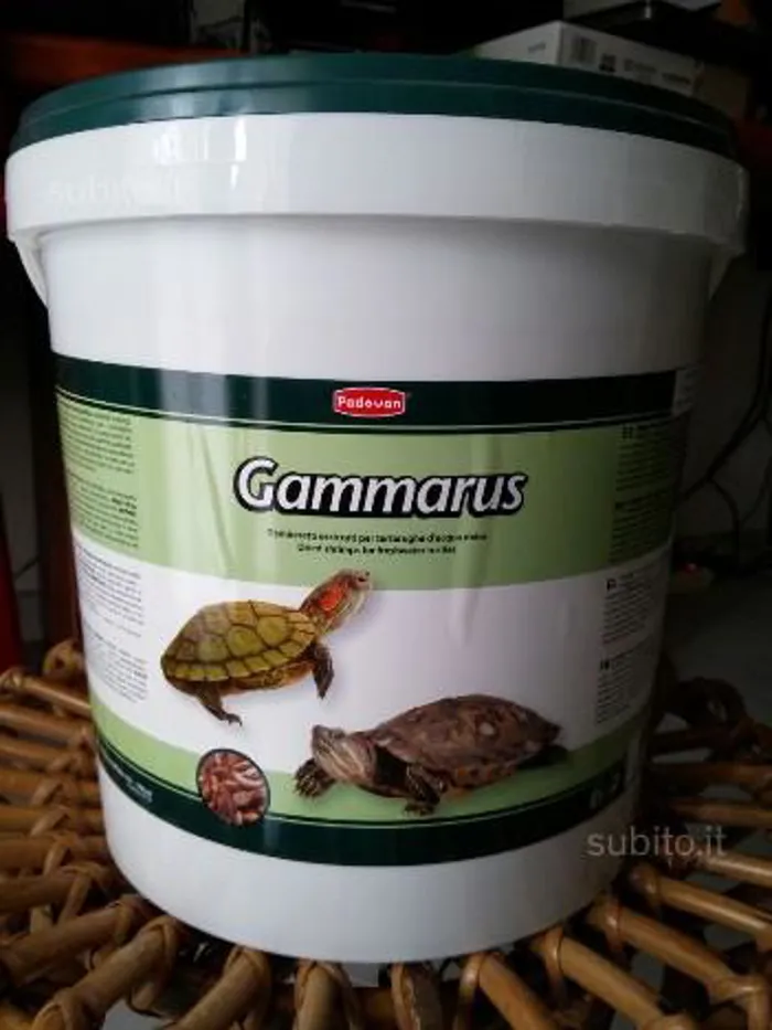 GAMMARUS lt 10 / Kg 1,1 secchiello