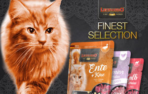 Immagine del brand LEONARDO FINEST SELECTION buste