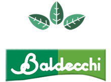 Immagine del brand BALDECCHI