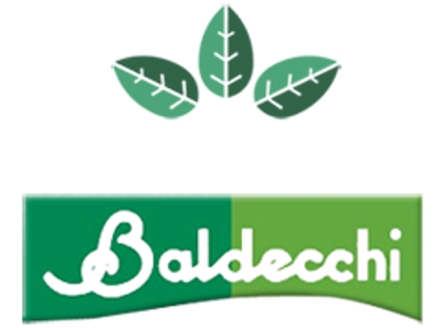 BALDECCHI