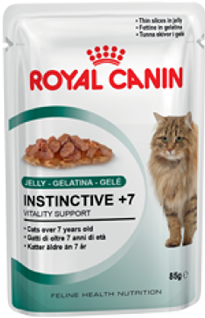 FHN WET INSTINCTIVE+7 in JELLY gr 85