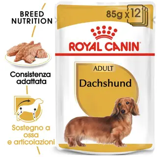  BHN WET DACHSHUND Gr 85 box da n 12 bustine