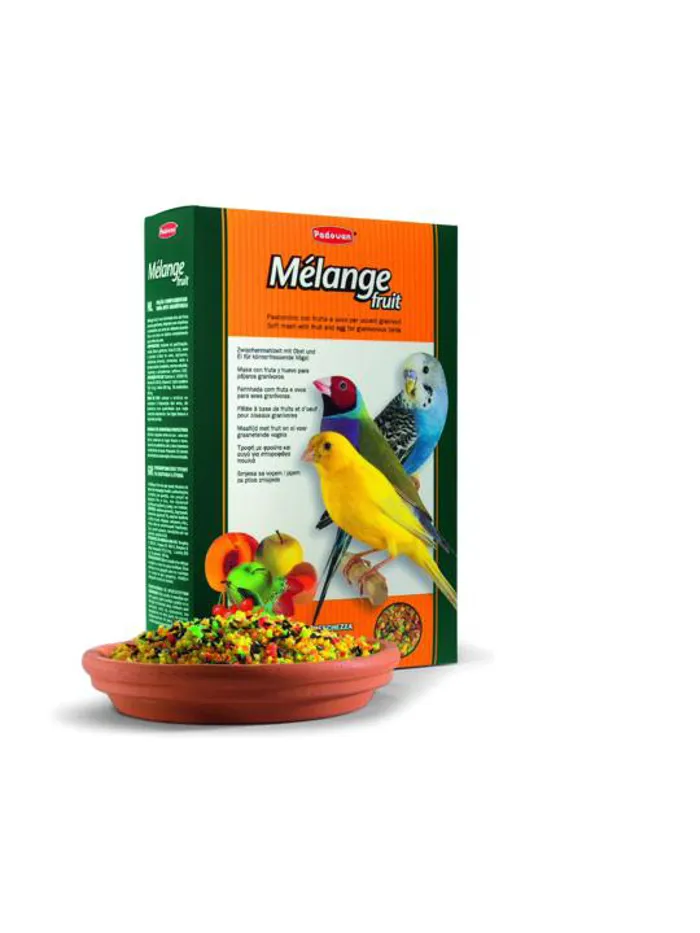 MELANGE FRUIT gr 300