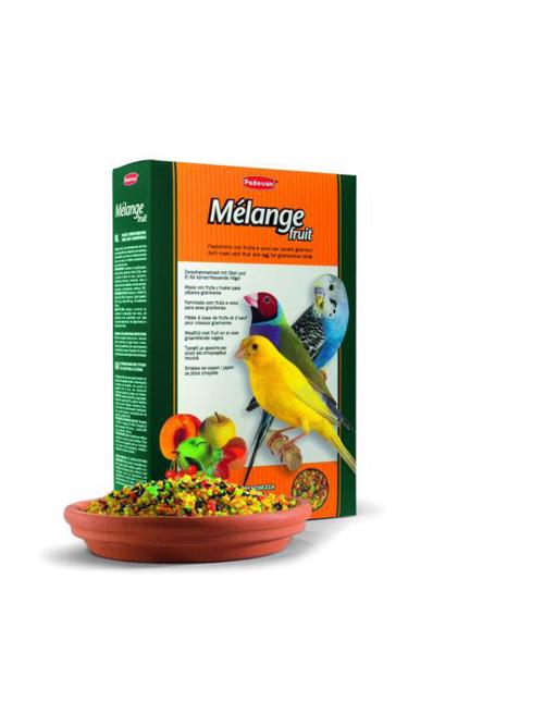MELANGE FRUIT gr 300
