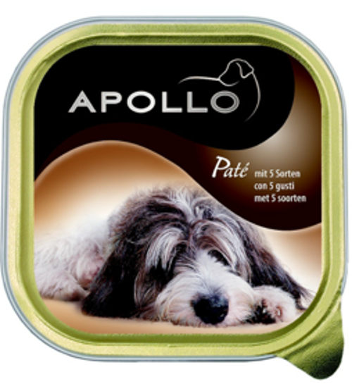  APOLLO per cani Patè 5 gusti Gr 300 
