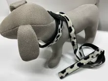 Triade COLLARE + GUINZAGLIO PELO