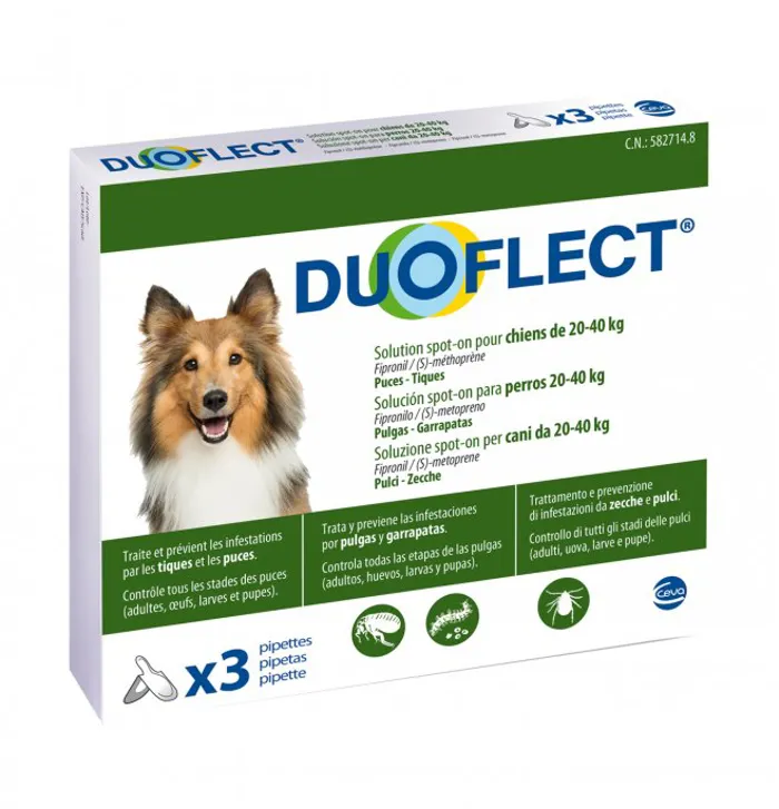 DUOFLECT CANI 20-40 3 pip