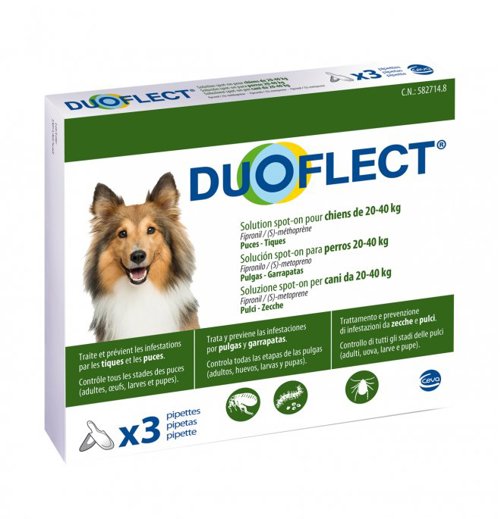 DUOFLECT CANI 20-40 3 pip