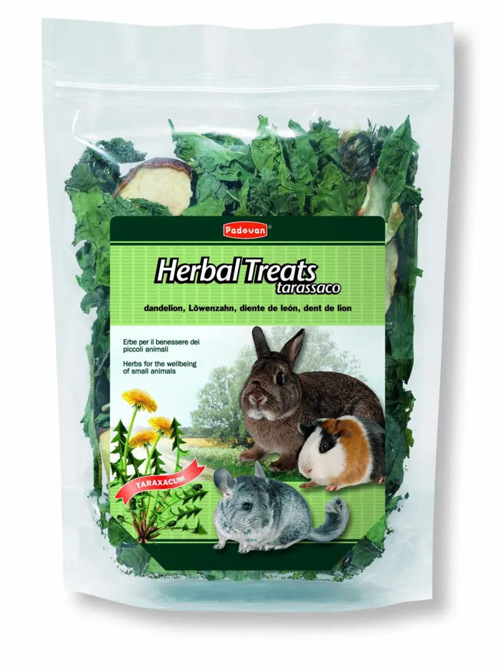 HERBAL TREATS TARASSACO gr 150