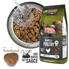 BELCANDO ADULT GRAIN FREE POLLO KG 1