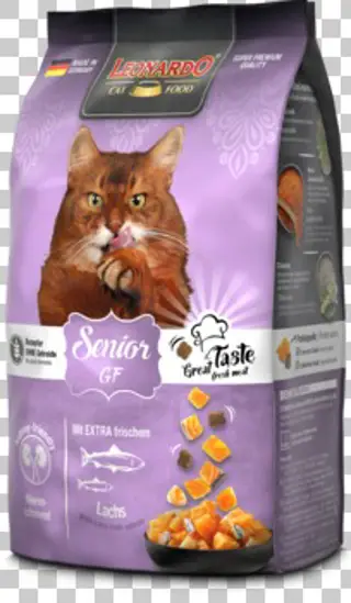  LEONARDO Senior Grain Free gr 300