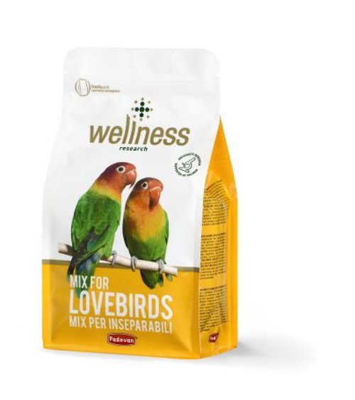WELLNESS INSEPARABILI gr 850