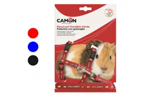 PARURE Porcellini India Mm 10x1200