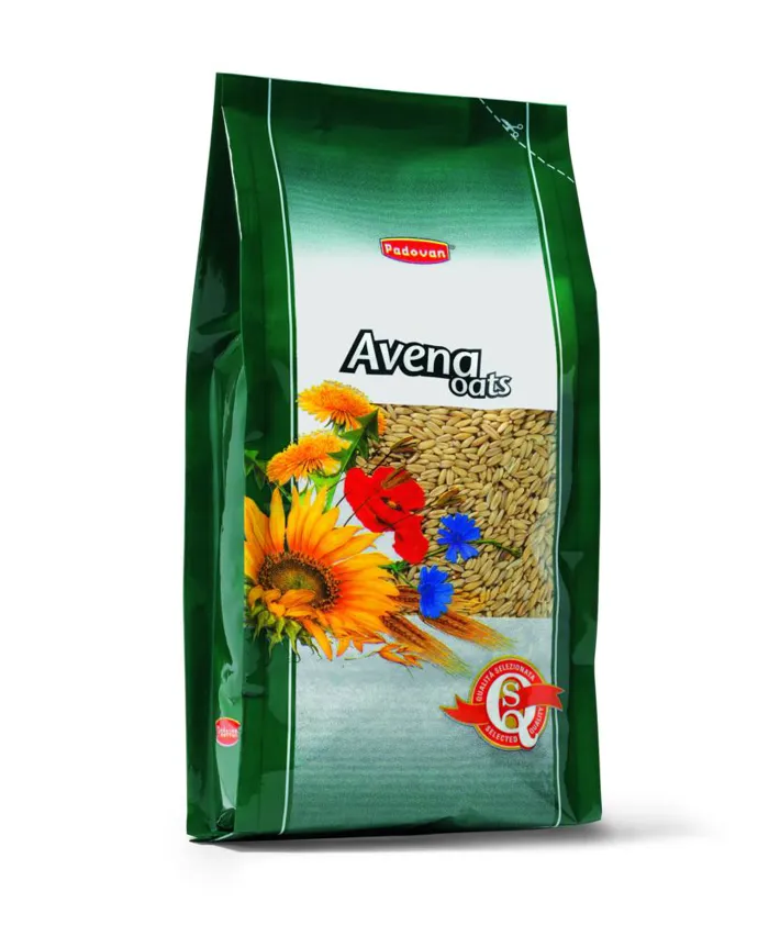 AVENA Kg 1