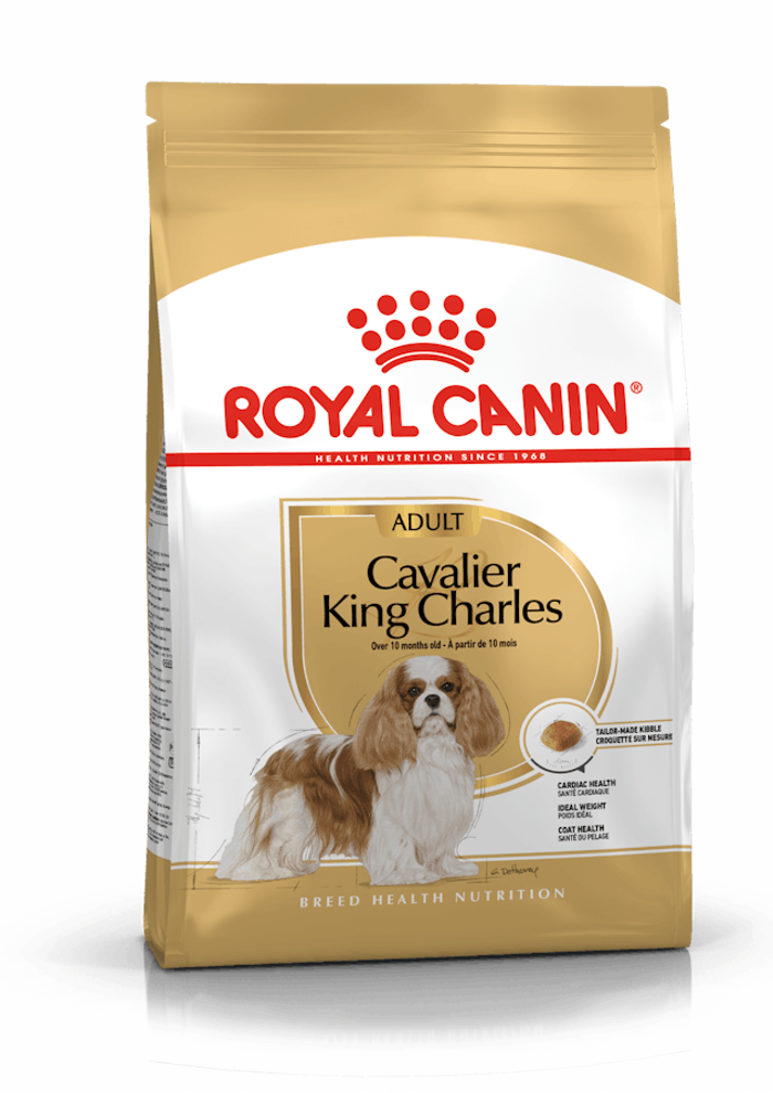 BHN CAVALIER KING ADULT Kg 1,5