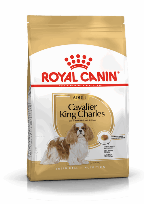 BHN CAVALIER KING ADULT Kg 1,5