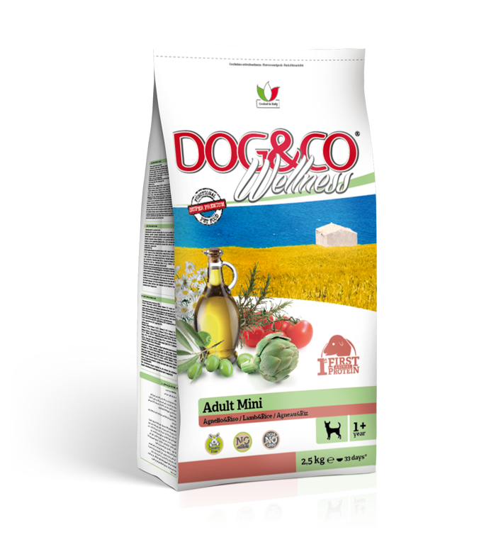 DOG&CO Wellness ADULT Mini Agnello & Riso Gr 800