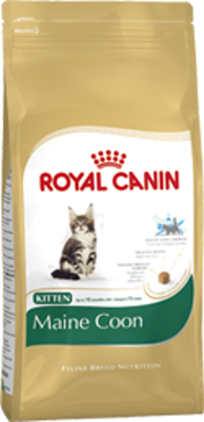 FBN KITTEN MAINE COON Kg 10
