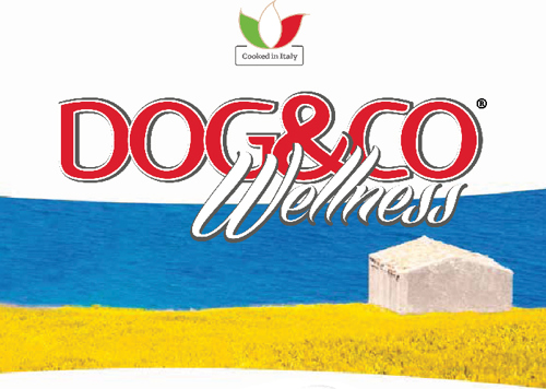 DOG & CO WELLNESS