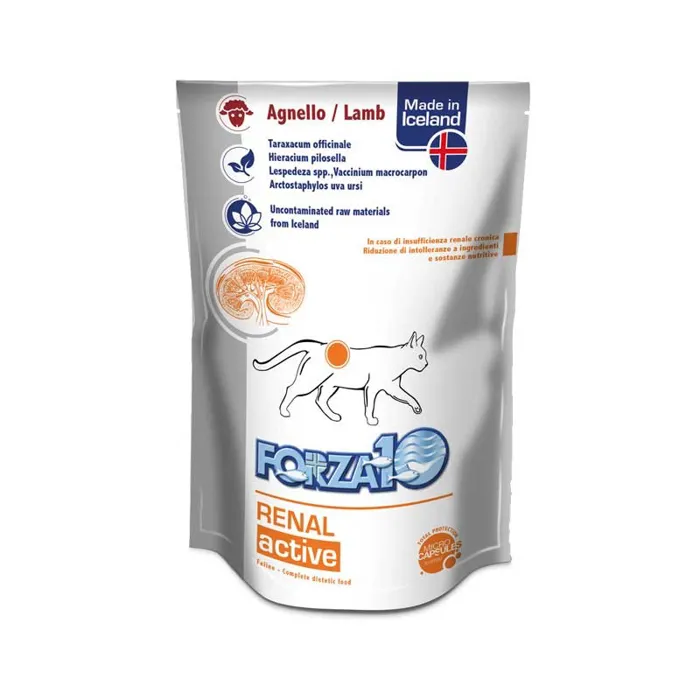 FORZA 10 ACTIWET Gatto Renal Agnello Gr 100