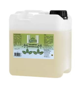 BALDECCHI SHAMPOO UNIVERSALE ml 20000