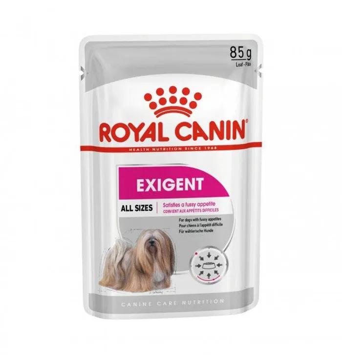 CCN WET EXIGENT PATE' Gr 85