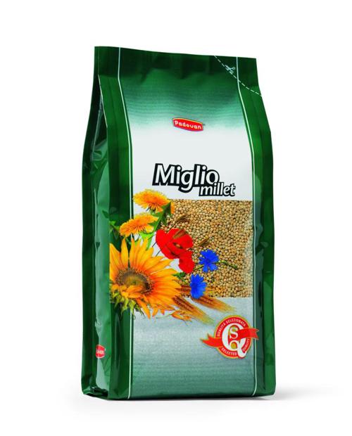 MIGLIO GIALLO Kg 1