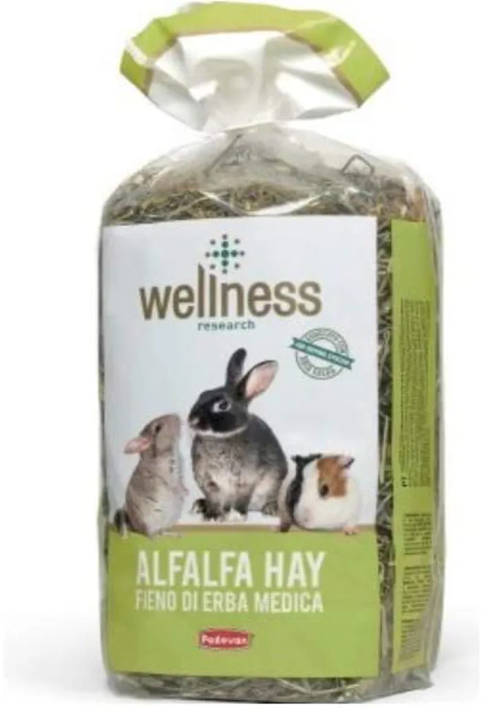 WELLNESS ALFALFA HAY Fieno per piccoli roditori Gr500