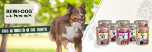 Immagine del brand BEWI DOG