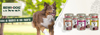 BEWI DOG