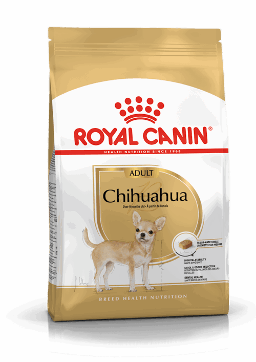 BHN CHIHUAHUA ADULT Gr 500  