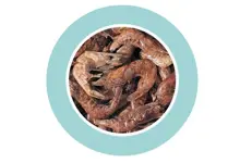 SHRIMPS gr 150 / lt 1