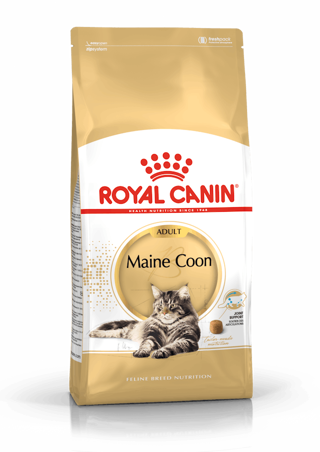 FBN MAINE COON Kg 2