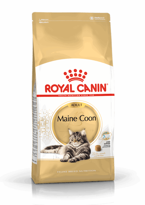 FBN MAINE COON Kg 2