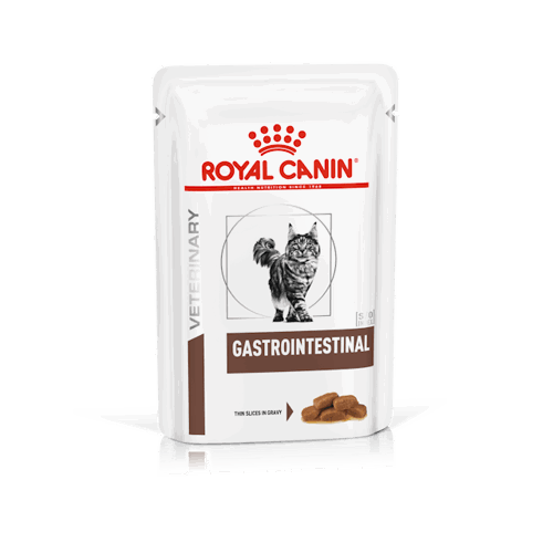 WET CAT GASTRO INTESTINAL gr 85