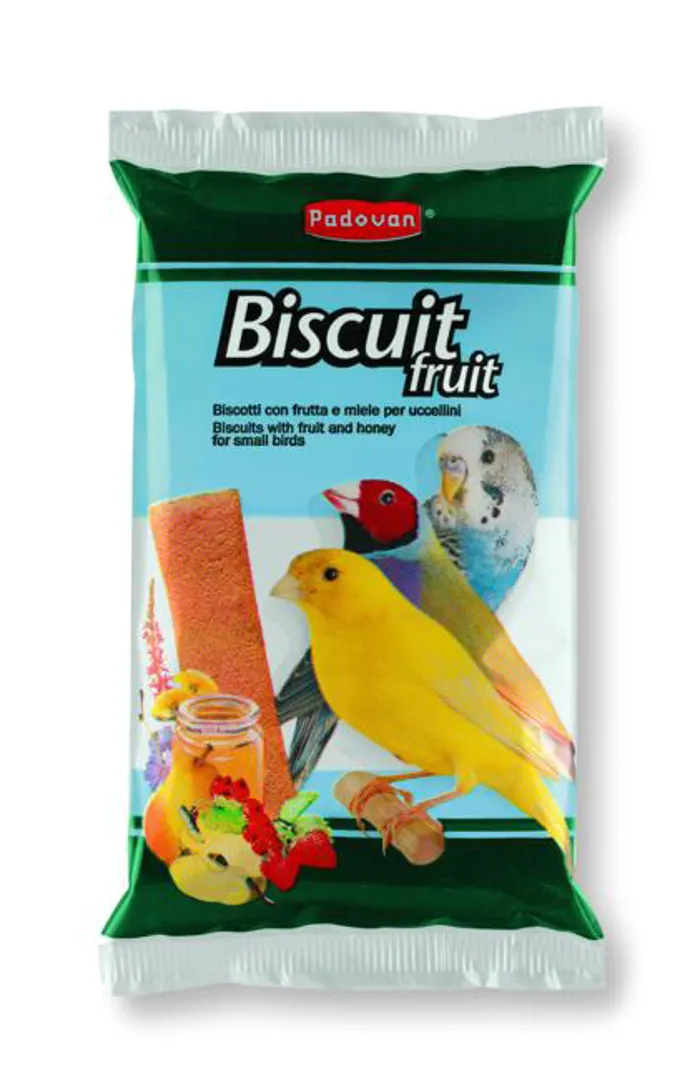 BISCUIT FRUIT gr 30